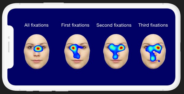 First fixations areas